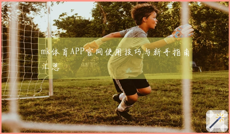 mk体育APP官网使用技巧与新手指南汇总